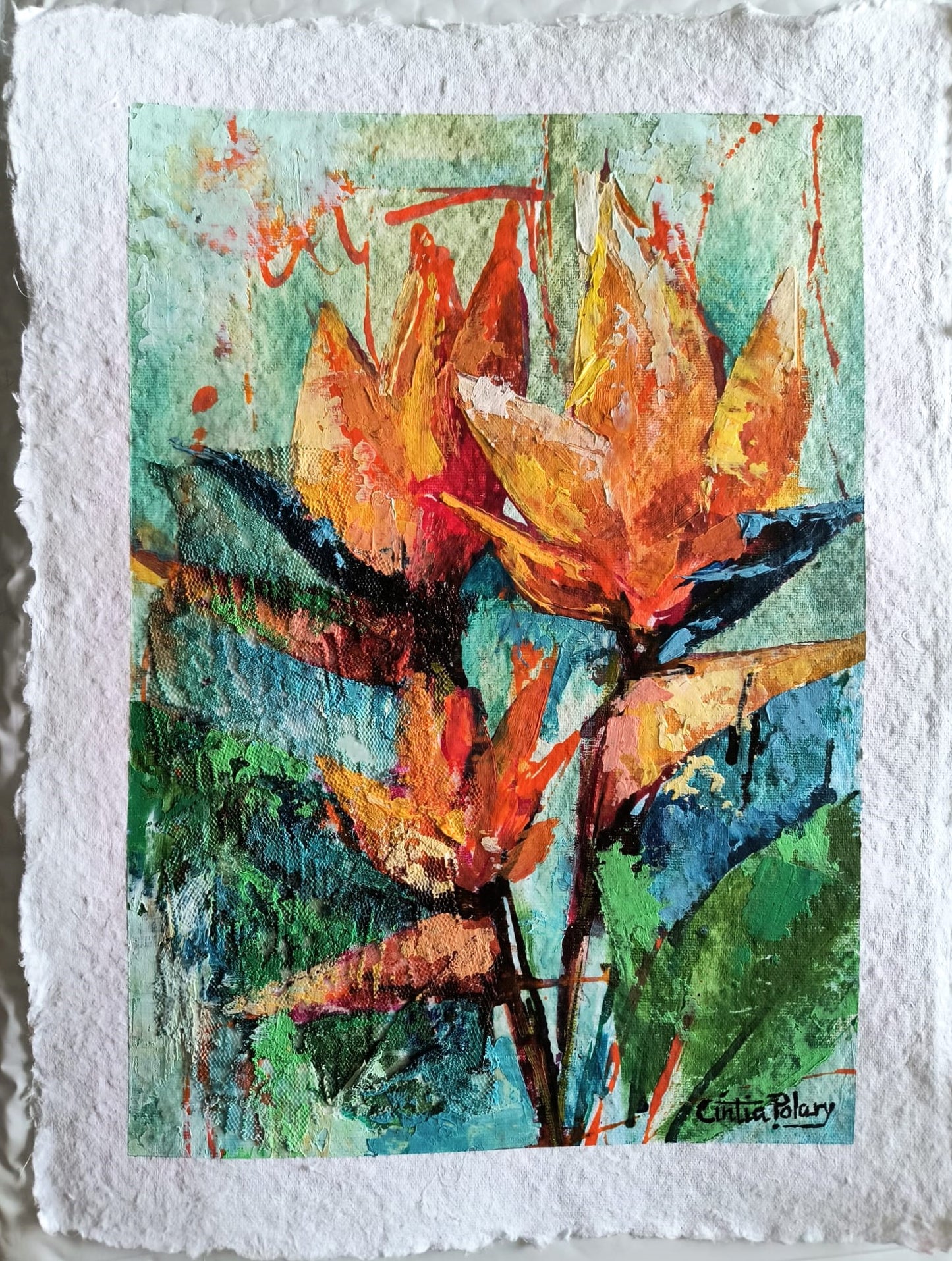 Tropical bromeliad